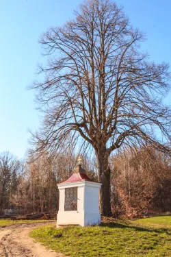 Výklenková kaple v Bukvici