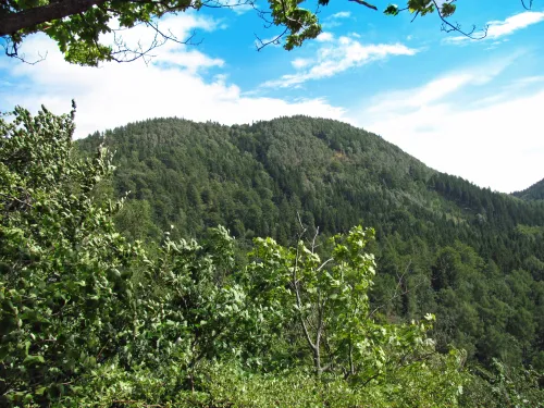 Monte Kozioł