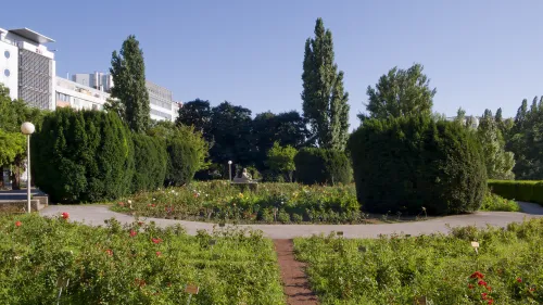 Růžová zahrada Wettsteinpark Wien