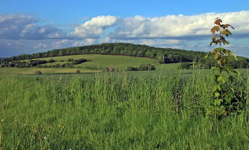 Cottaerský Spitzberg