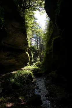 Soutěska Marienklamm