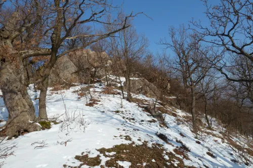 Michalův vrch
