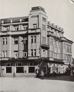 Hotel Veselka