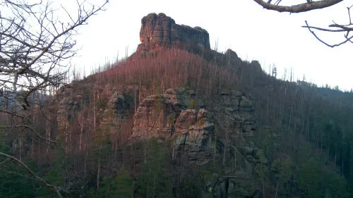 Zřícenina hradu Falkenštejn
