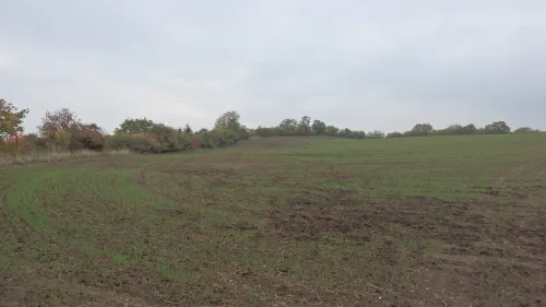 Hradisko u Obřan