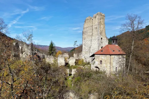Zřícenina hradu Wolfstein