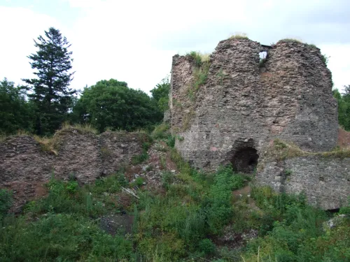 Zřícenina hradu Frymburk