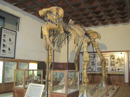 Paleontologické muzeum Dimitar Kovachev