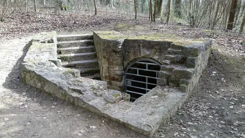 Fort Olizy
