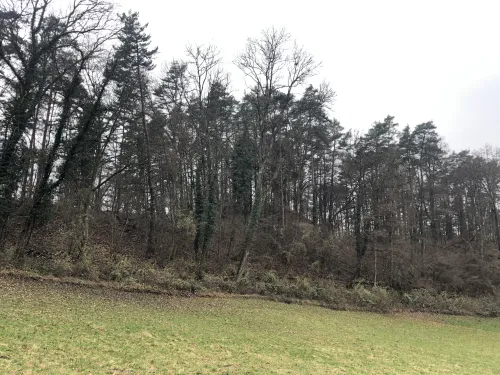 Burgoviště Schlossbuck