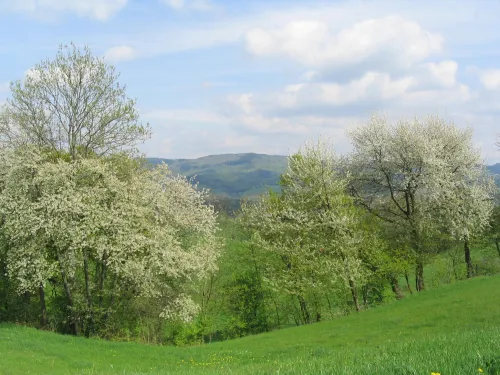 Vrch Tromm