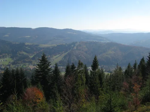 Kamm Cienków