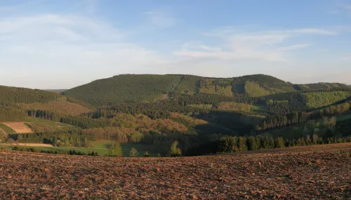 Hora Himberg