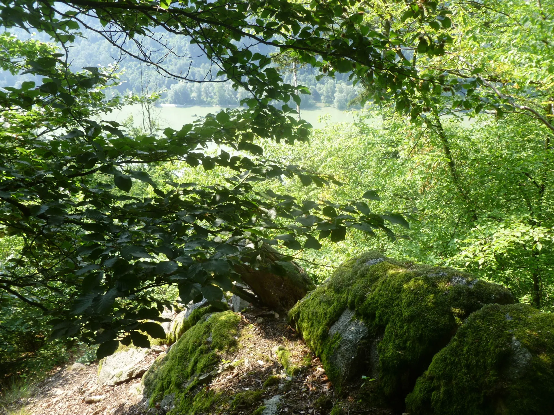 Zřícenina hradu Winzberg
