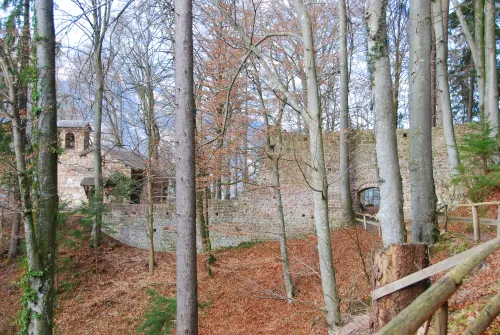 Zřícenina hradu Rottenburg