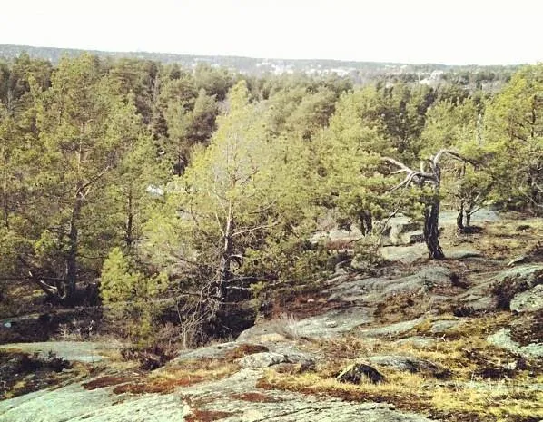 Stockholmsberget