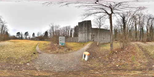 Weissenau Castle Ruins