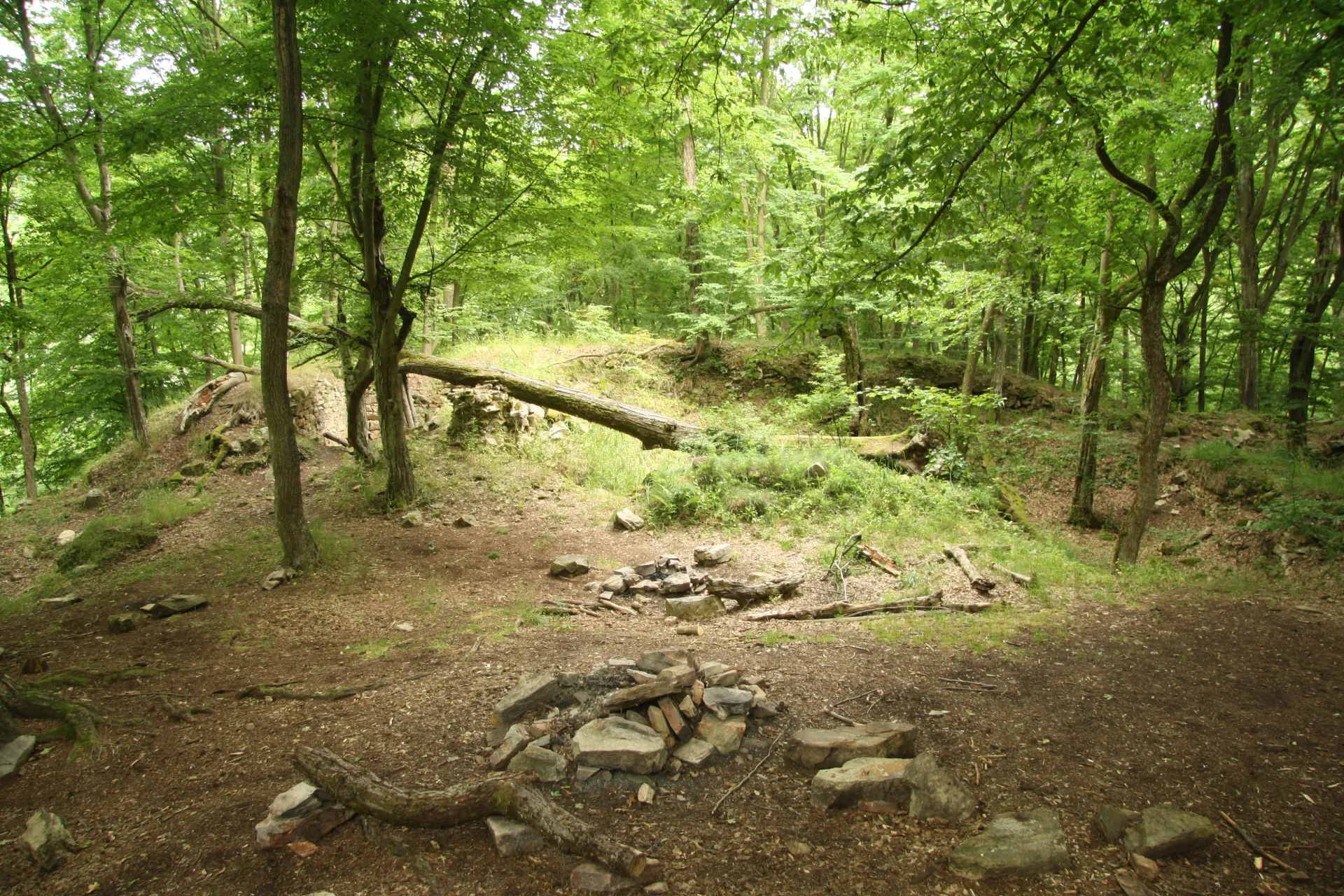 Sedlecký hrad