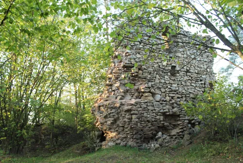 Zřícenina hradu Víckov