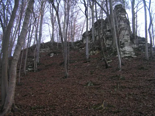 Zřícenina hradu Hrádníky