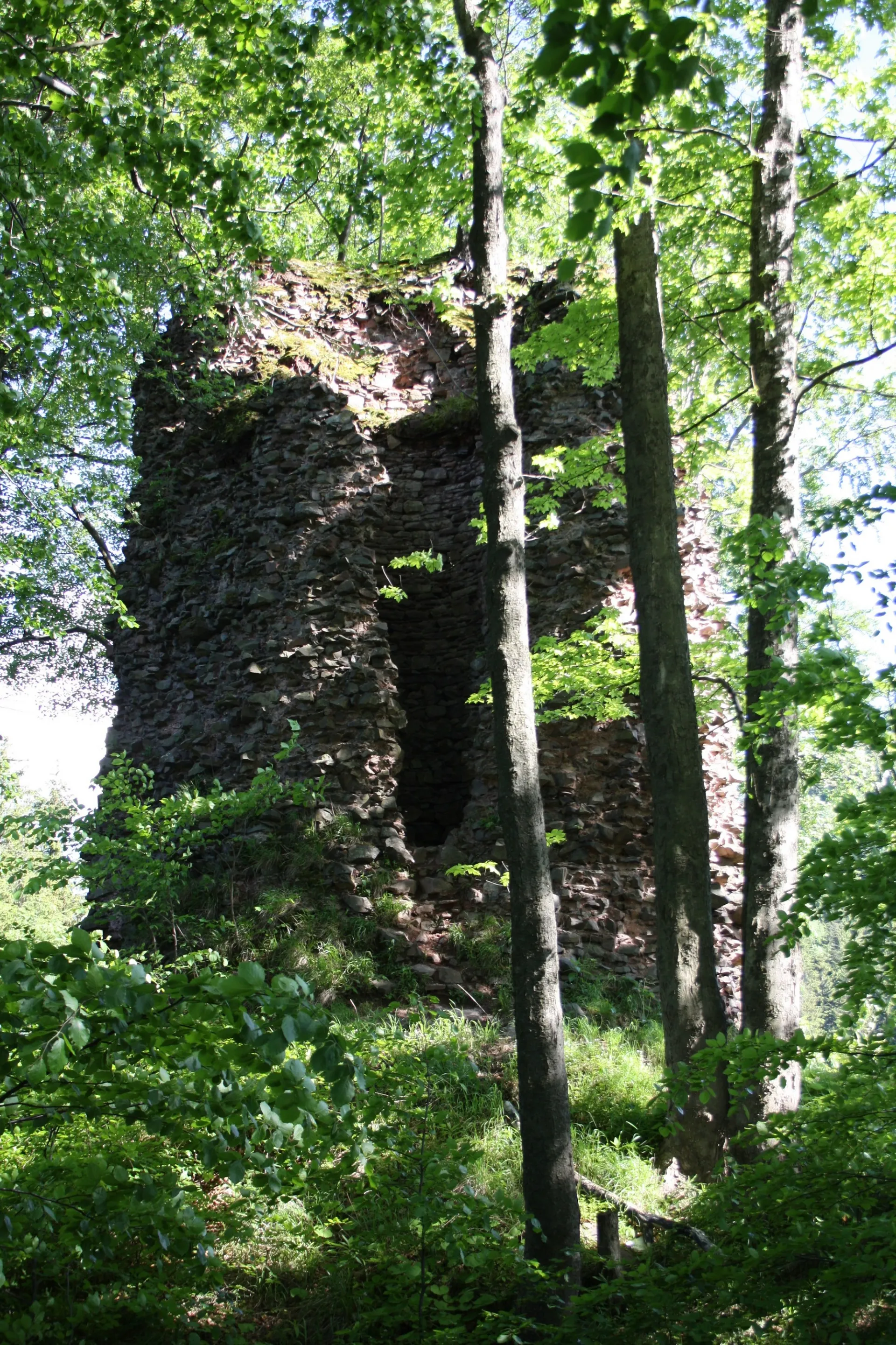 Ruinas del castillo de Radosno