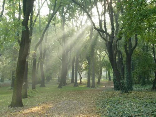 Městský park Népliget