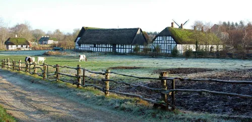 Frilandsmuseum Hjerl Hede
