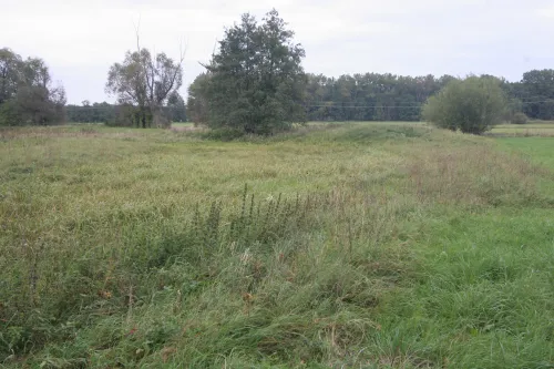 Tvrziště Na valech v Nechanicích