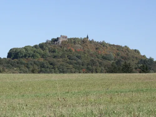 Zřícenina hradu Švamberk