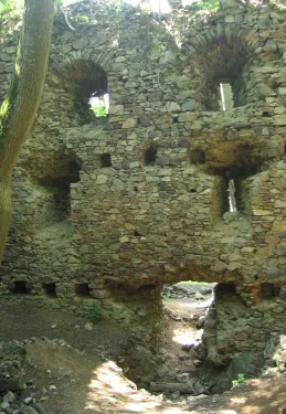 Zřícenina hradu Nový Herštejn