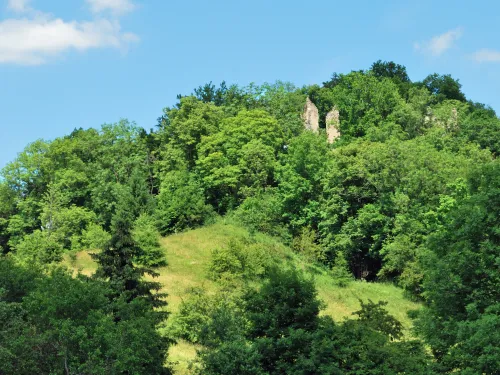 Burgruine Neckarburg