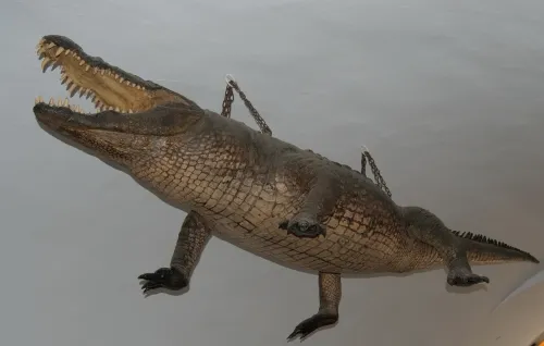 Brněnský drak