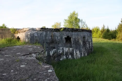 Fort Froideterre