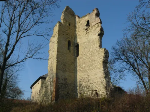 Zřícenina hradu Dražice