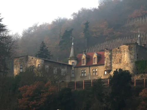 Schloss Montlys