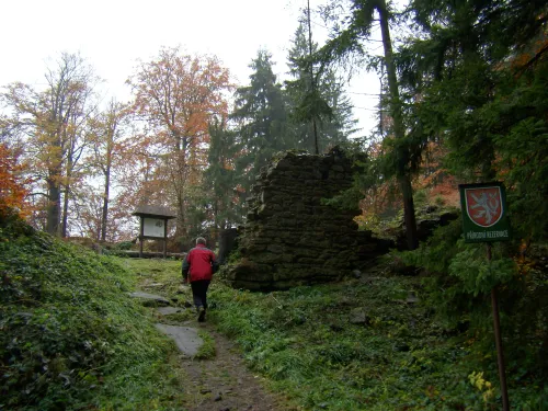 Zřícenina hradu Štamberk