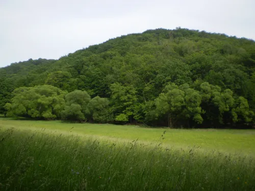 Faßlberg