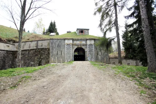 Fort Mont
