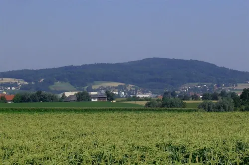 Kürnberský les u Lince