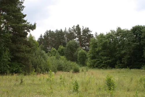 Hradiště Čiulėnų piliakalnis