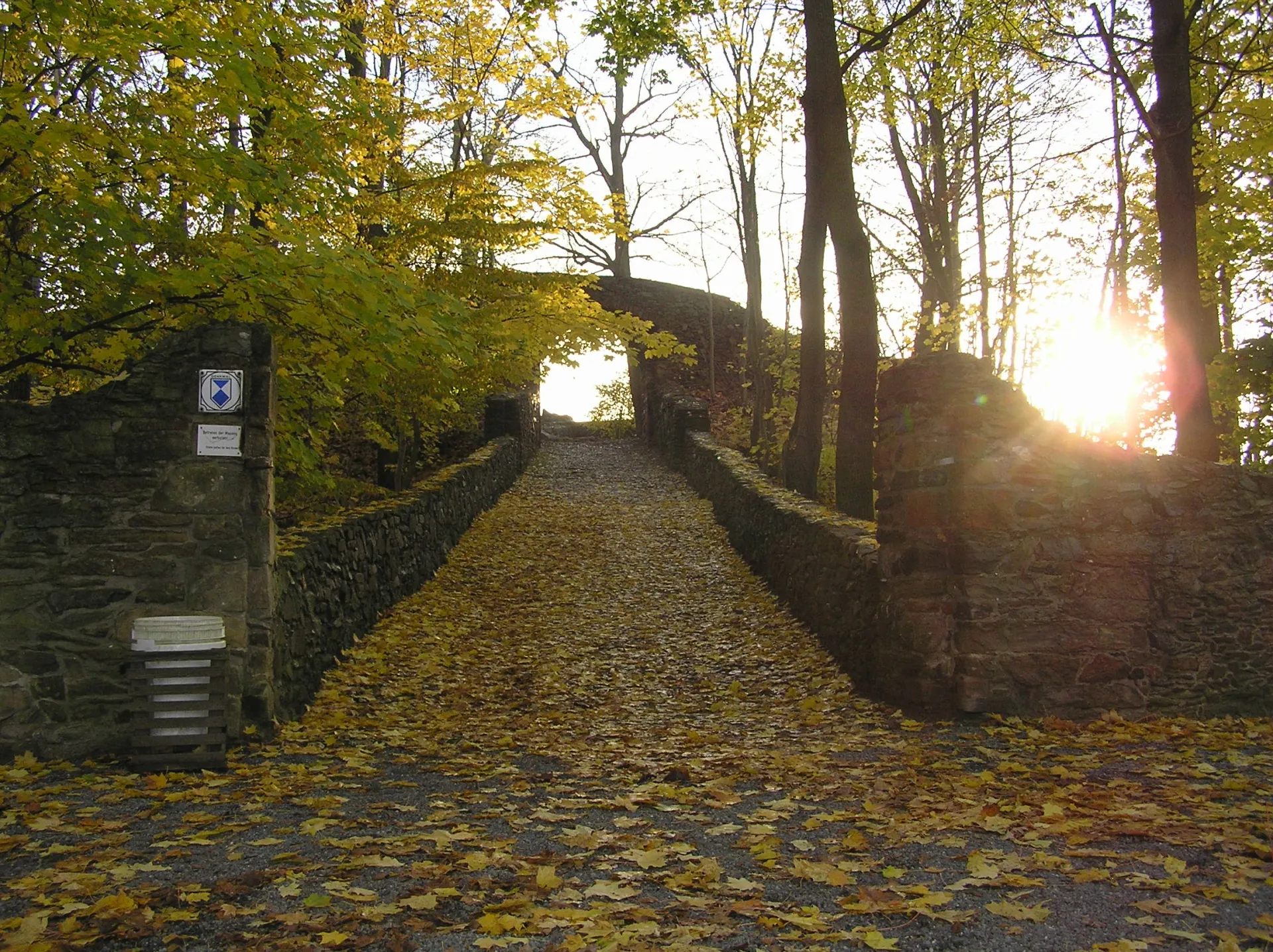 Zřícenina hradu Reichenfels
