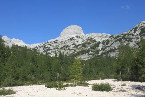 Šmarjetna glava