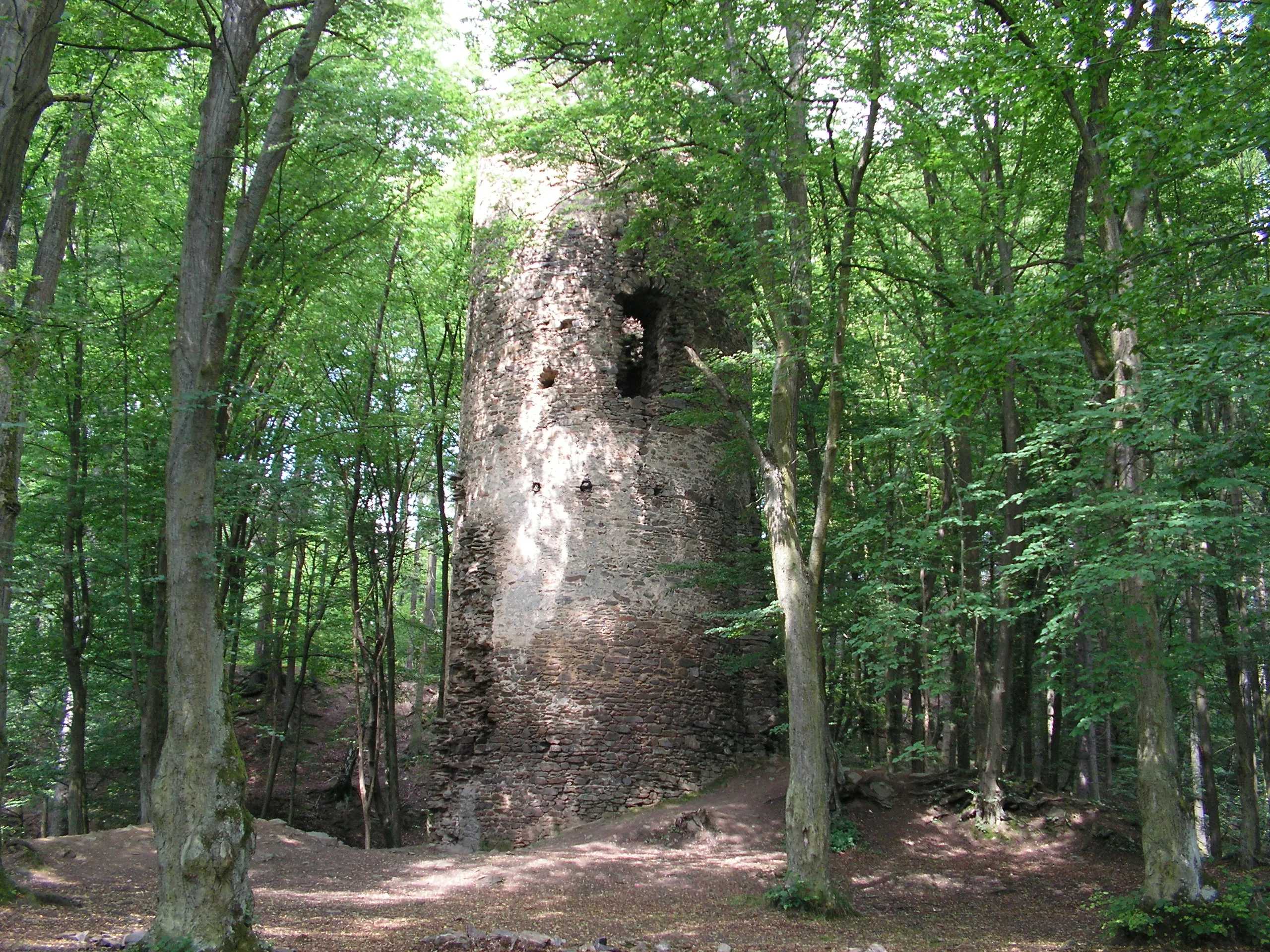 Zřícenina hradu Chřenovice