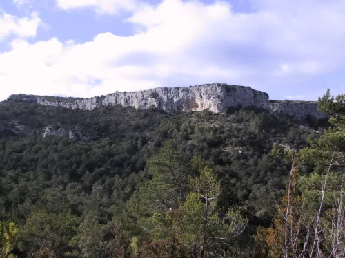 Puig Pelat Mountain