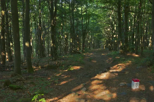 Czertež Peak