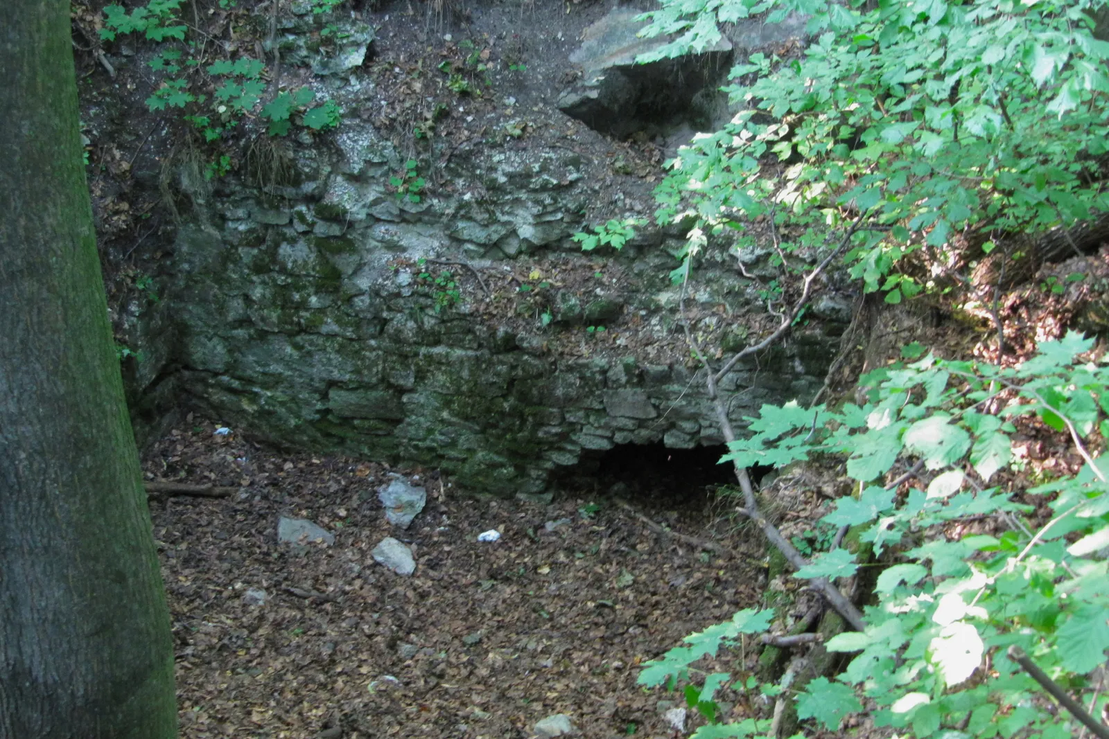 Zřícenina hradu Pustý hrad