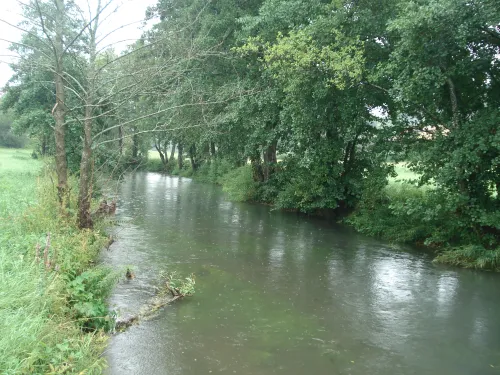 Río Laber Negro