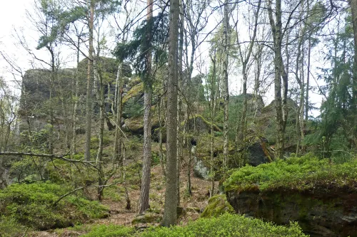 Hora Zeisigstein